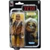Hasbro Star Wars Return Of The Jedi Chewbacca | Toys 2 Hasbro Star Wars Return Of The Jedi Chewbacca | Toys -Hasbro Toyland 115734