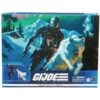 Hasbro G.I. Joe Cs Snake Eyes & Timber Action Figure -Hasbro Toyland 86045