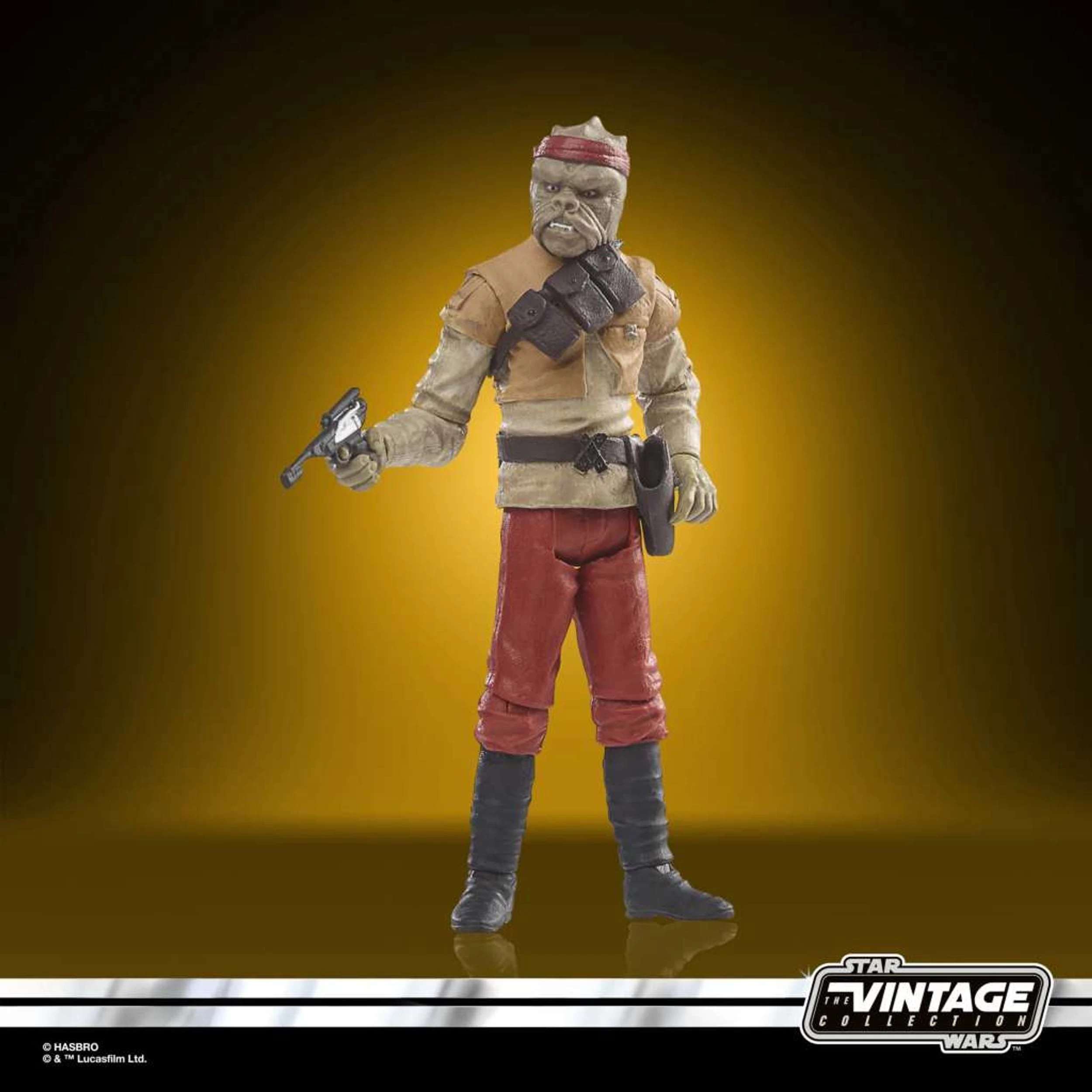 Hasbro Star Wars Vintage Roj Kithaba Skiff Guard Action Figure 5 Hasbro Star Wars Vintage Roj Kithaba Skiff Guard Action Figure - Image 3