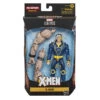 Hasbro Marvel Legends Series: X-Men The Age Of Apocalypse - X-Man Action Figure (WSL) (EOFY SALE) -Hasbro Toyland image 4ee95843 535c 4518 b35c 7bce77601fd2
