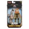 Hasbro Marvel Legends Series: X-Men The Age Of Apocalypse - Action Figure Assortment 2 (WSL) (EOFY SALE) -Hasbro Toyland image bb67dd57 229c 46cf b609 8271b16c31d2