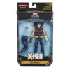 Hasbro Marvel Legends Series: X-Men The Age Of Apocalypse - Weapon X Action Figure (WSL) (EOFY SALE) -Hasbro Toyland image d95e7ddf 1af3 4032 981a d3d2342f5851
