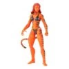 Hasbro Marvel Legends Series Action Figure 2022 Marvel's Tigra - 15 CM